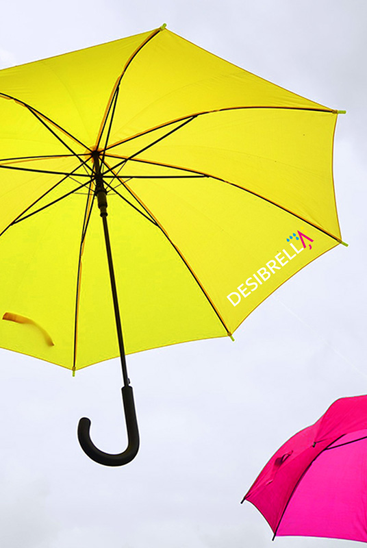 Komplexní grafická podoba loga a firemního stylu pro značku DESIBRELLA